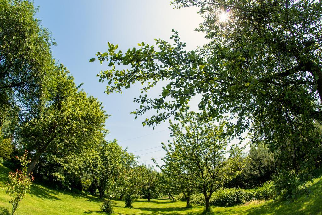 Agroturystyka Oswiecim Skidzin Exteriör bild